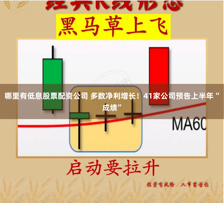 哪里有低息股票配资公司 多数净利增长！41家公司预告上半年“成绩”