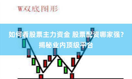 如何看股票主力资金 股票配资哪家强？揭秘业内顶级平台