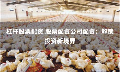 杠杆股票配资 股票配资公司配资：解锁投资新境界
